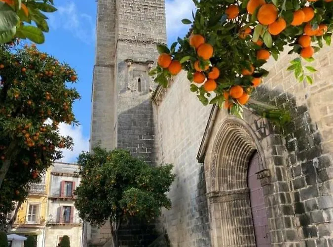Sherryflat C/larga Appartement Jerez de la Frontera